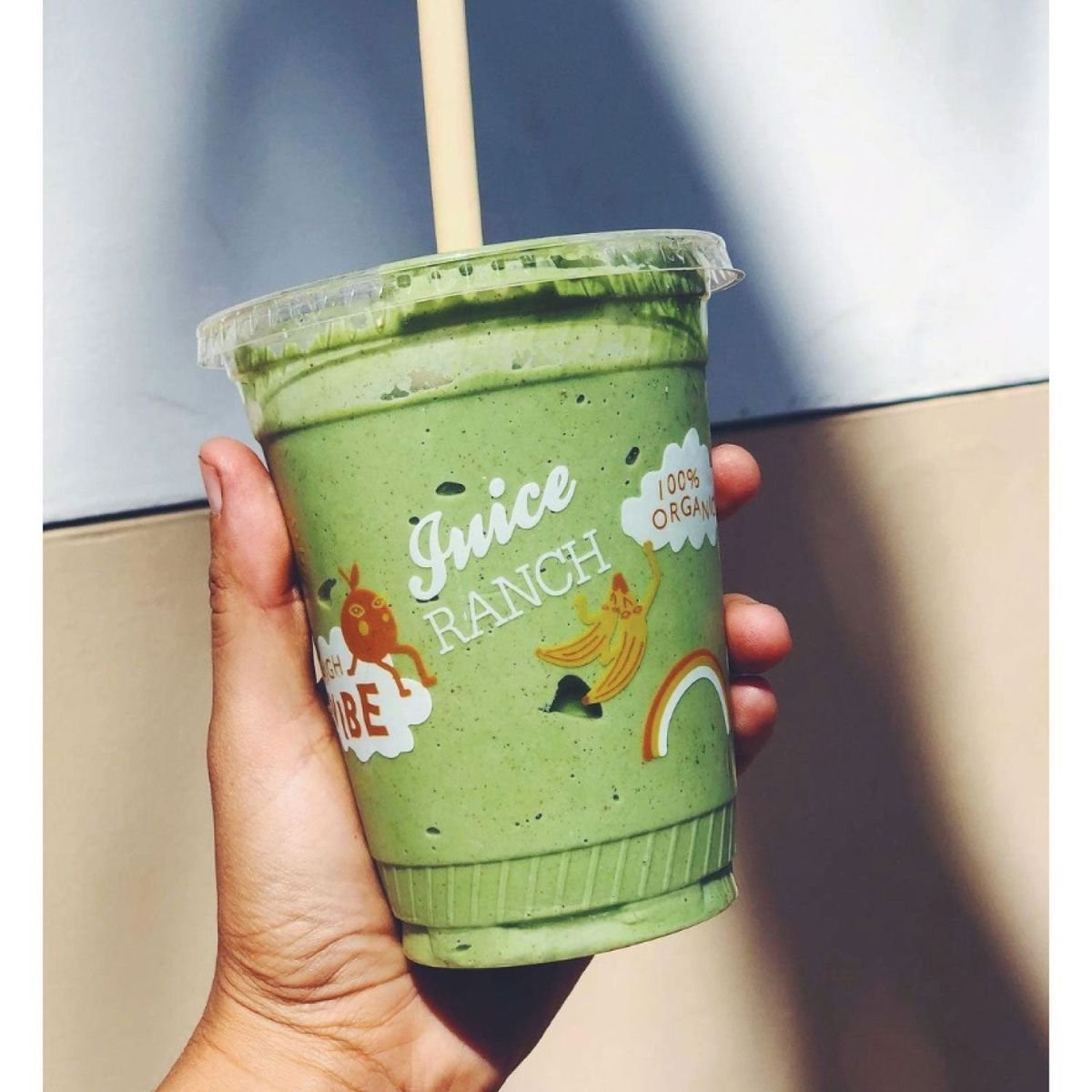 Custom Compostable Cold Cups - Image 3