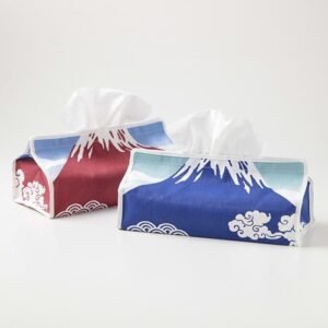 Tissue Box Packaging