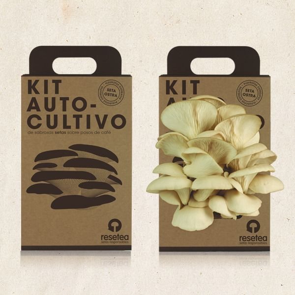 Mushroom Packaging - Image 2
